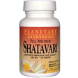 Planetary Herbals Full Spectrum Shatavari, 500 mg, 60 Tablets - Planetary Herbals