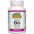 Natural Factors Pyridoxine B6, 100 mg, 90 Capsules - Natural Factors